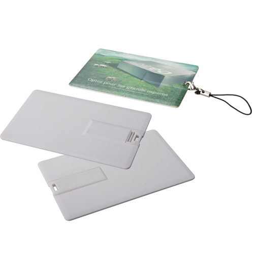 Plastic Card Usb